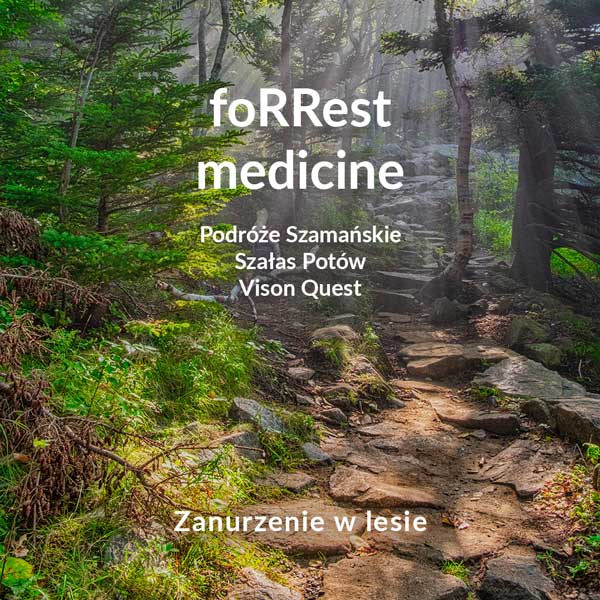 Forrest medicine: retreat w lesie 23-29.06.25 POLSKA