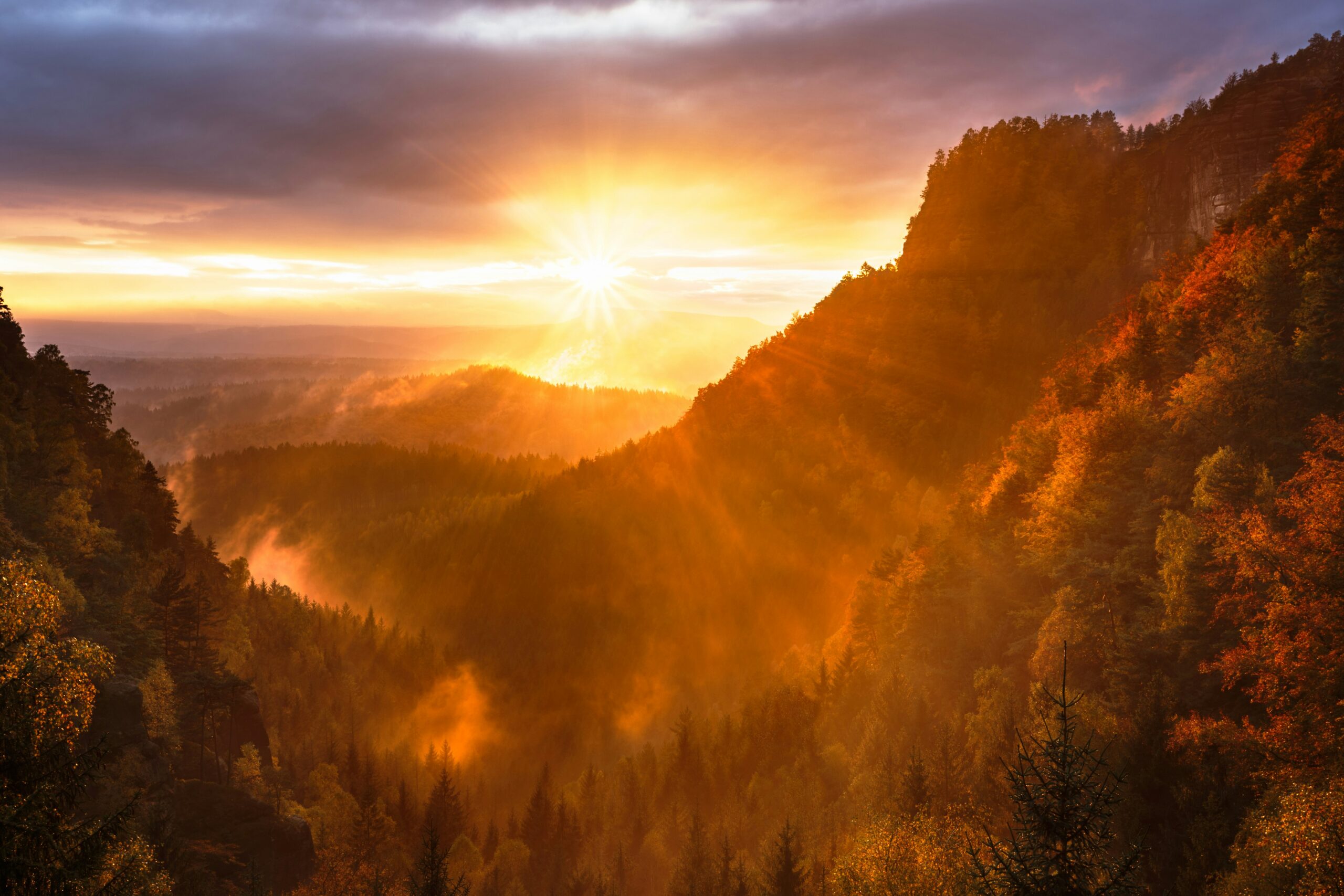 Journey to Higher Self